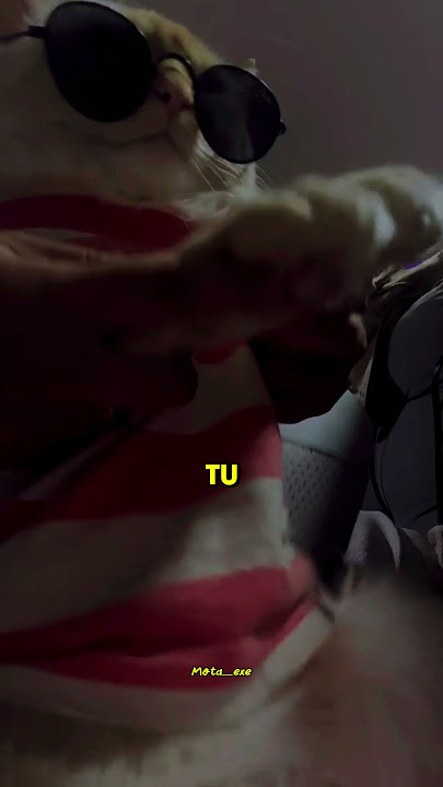 NOIS BOTA NELA  #viral #lyrics #funk #música #música #music #new #musica #public #funk #reels #dance