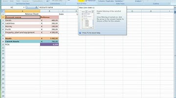 Filter Data | Excel 2007