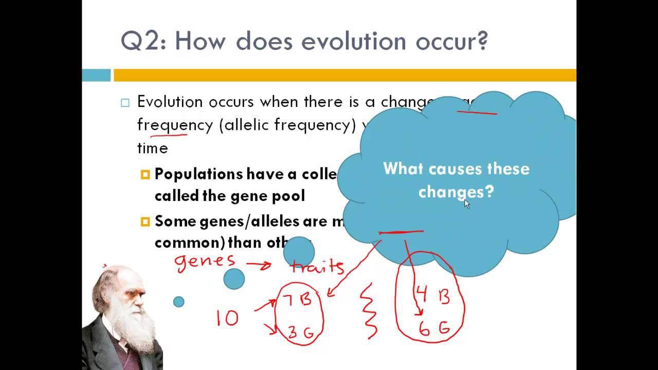 Introduction to Natural Selection