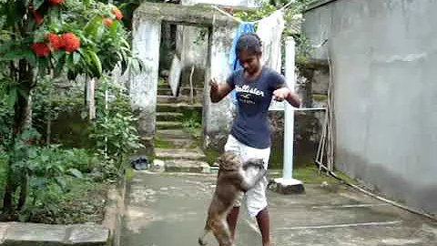 Priya Nakkiran feeding a monkey in Khallikote, Ori...