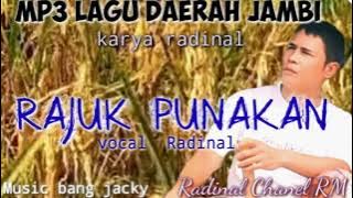 mp3  rajuk punakan versi slow || vocal radinal || music video radinal chanel RM 19 April 2025