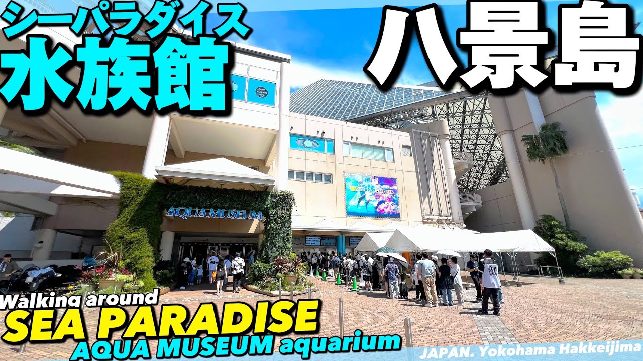 🐬【4K】横浜八景島シーパラダイス水族館アクアミュージアムをぐるっとご案内【シーパラ|イルカ】Guide tour of Sea Paradise Aquarium. Yokohama