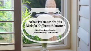 Podcast Episode 16:  What Probiotics Do You Need for Different Ailments