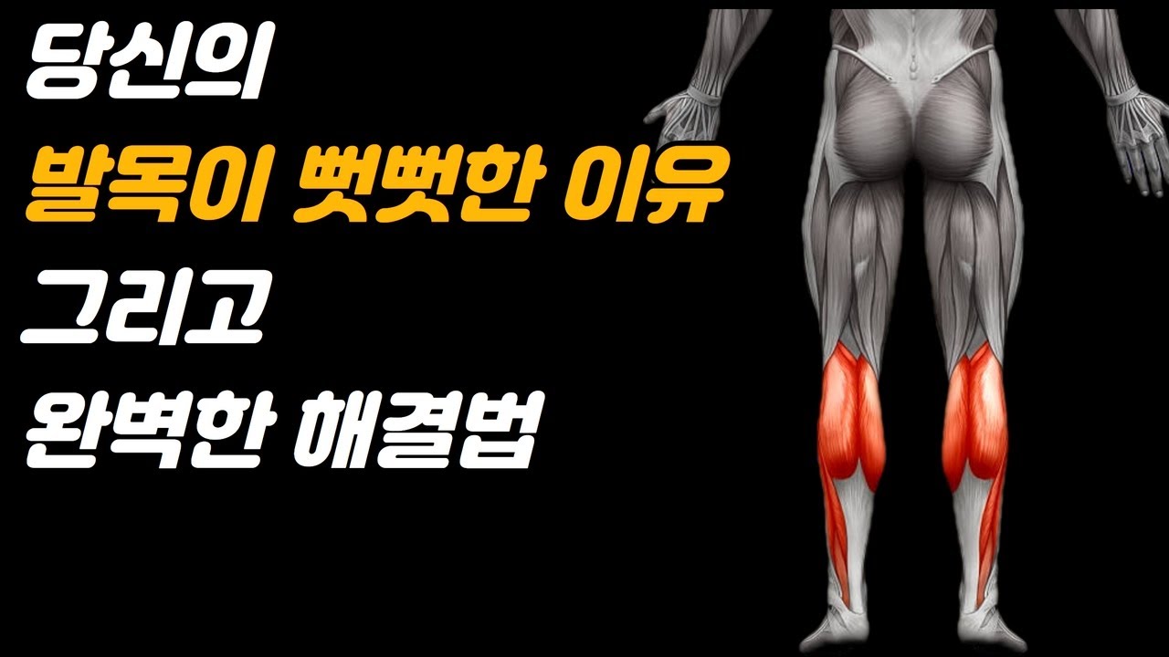 발목 스트레칭이 효과가 없다면 이 운동들을 해보세요. (Feat.발목가동성 개선 운동 5가지)