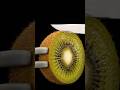 Satisfying Kiwi Slice ASMR 🔪🥝 | Ultra Macro Cut