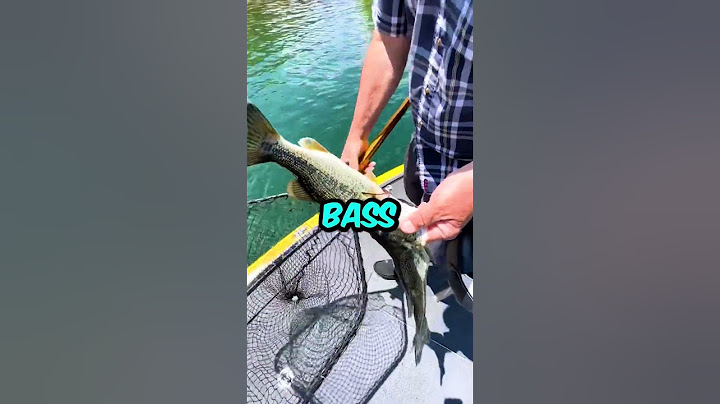 He Caught The Rarest Fishing Phenomenon Ever!