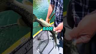 He Caught The Rarest Fishing Phenomenon Ever!