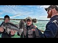 ROCKFISH & LINGCOD 30 Miles From Port. Barking Sea lions - BOTTOM FISHING PARADISE.