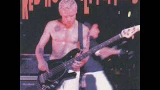 Miniatura del video "Red Hot Chili Peppers - Flea's Birthday Gig - Sweet Home Alabama"