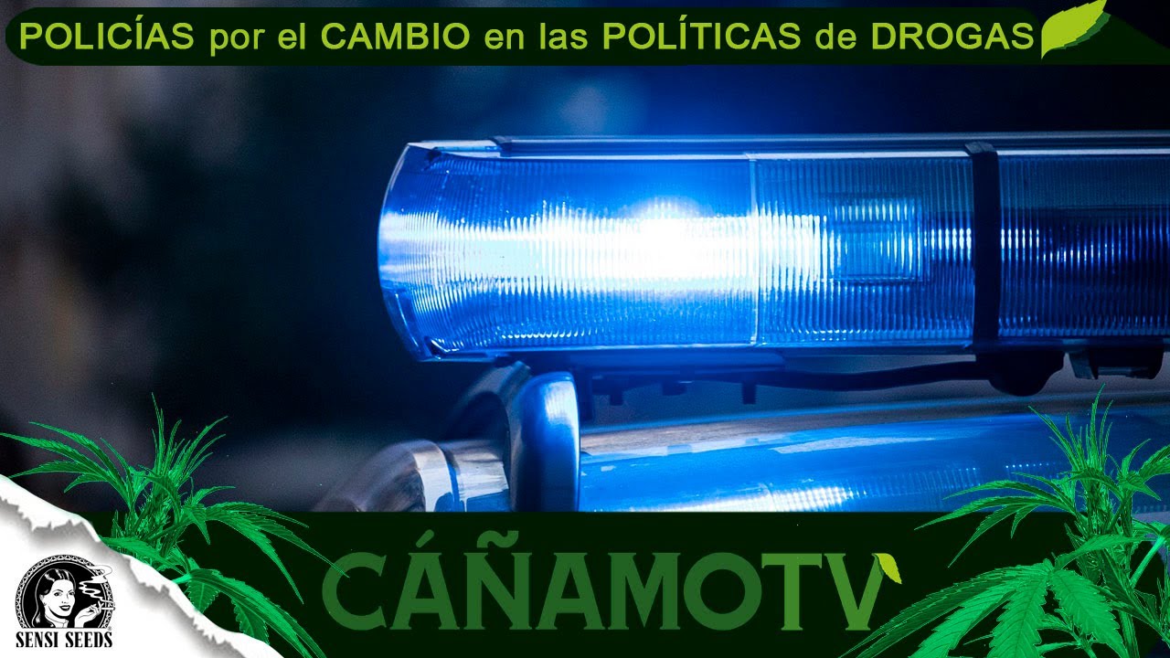 POLICÍA a favor del CAMBIO en las POLÍTICAS de DROGAS