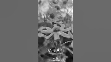 تلاوة خاشعة للقارئ نايف الفيصل