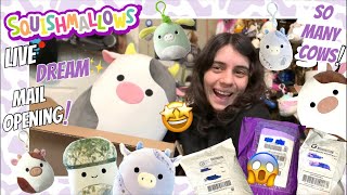 LIVE Squish📦Mail😱Opening! TONS of NEW🐮Cows, Clips, 16inches & MORE! LOTS of✨RARE🤩Dreams!