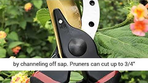 gonicc 8" Professional Premium Titanium Bypass Pruning Shears (GPPS-1003), Hand Pruners, Garden