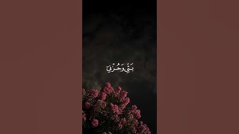 #قَالَ_إِنَّمَا_أَشْكُو_بَثِّي_وَحُزْنِي_إِلَى_اللَّهِ سورة يوسف #اكسبلور #دويتو #تيك_توك #duet