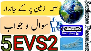Class 5 || EVS 2 || Lesson no 3 || Zameen par ke Jandar || Question Answer || Urdu medium