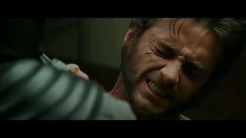 What if Wolverine Had Vibranium instead of Adamantium