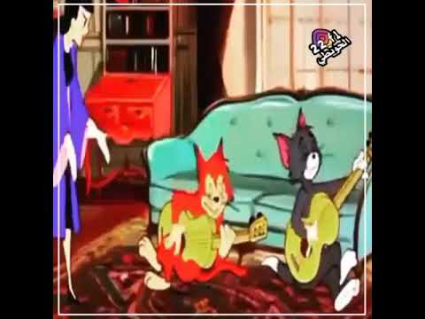 توم جايري يقنون يال يالي