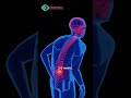 Back Pain vs Spine TB Explained | Dr Anil Jain | Ocean Multivision