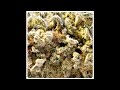 Dope Smoker "Assassin"