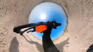 Hidden Camera Captures Dog’s EPIC Beach Stroll!