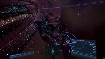 X4  Foundations: The pros and cons of the Shark carrier