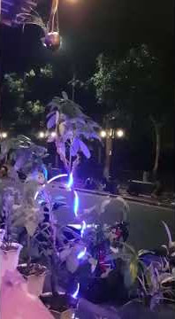 Dulu - Danar Widiyanto || Novantarra & Sukma G live cover di Cafe Pawon Borobudur