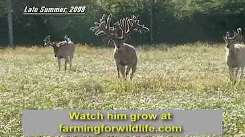World Record Buck: Largest Whitetail EVER