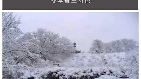 冬天養生必備常識 tips for self care in winter 1/2 - 天天要聞