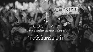 คิดถึงฉันหรือเปล่า - COCKTAIL「Official MV」 chords