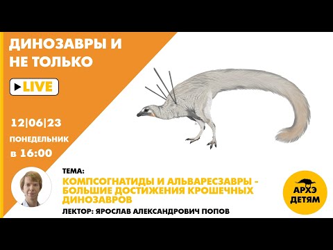 Занятие Компсогнатиды И Альваресзавры Большие Достижения Крошечных Динозавров Ярослав Попов