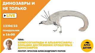 Занятие "Компсогнатиды и альваресзавры - большие достижения крошечных динозавров" // Ярослав Попов