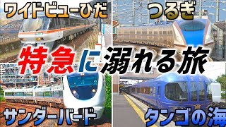 46)特急列車4本で大移動！北陸・山陰絶景の旅【最長片道切符・高山～京都】