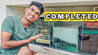 my sump is completed now | k1 Filter sump system Tamil