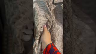 Python leather jacket