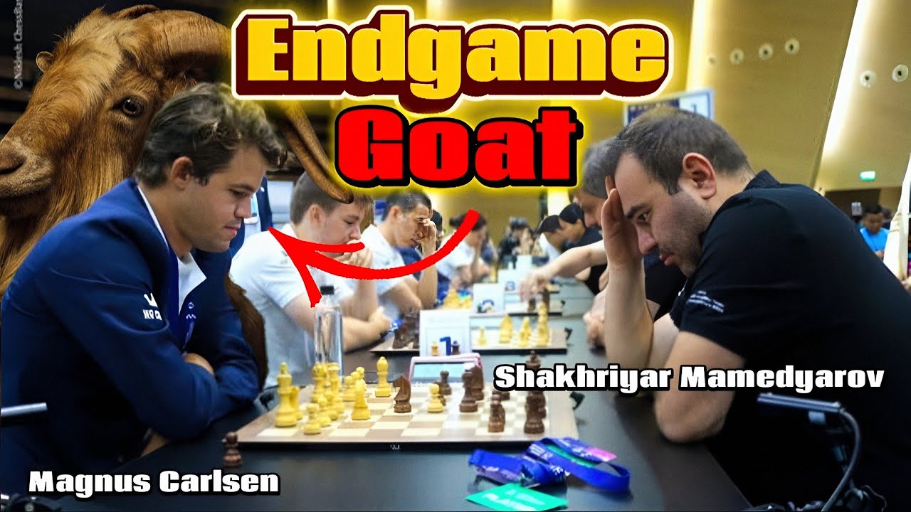 Magnus Carlsen VS Shakhriyar Mamedyarov || World Rapid Team Championships 2024, Round 7