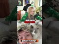 #twitch #dangerlyoha #morphe_ya #морфи