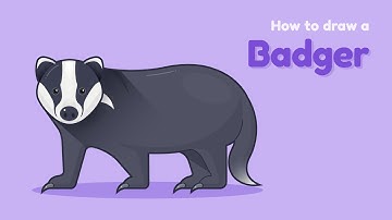 How to draw a Badger? Easy and simple drawing | Animal character design tutorial