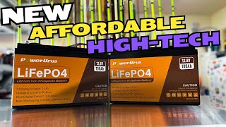 Inexpensive LiFePO4 Battery with expensive features!