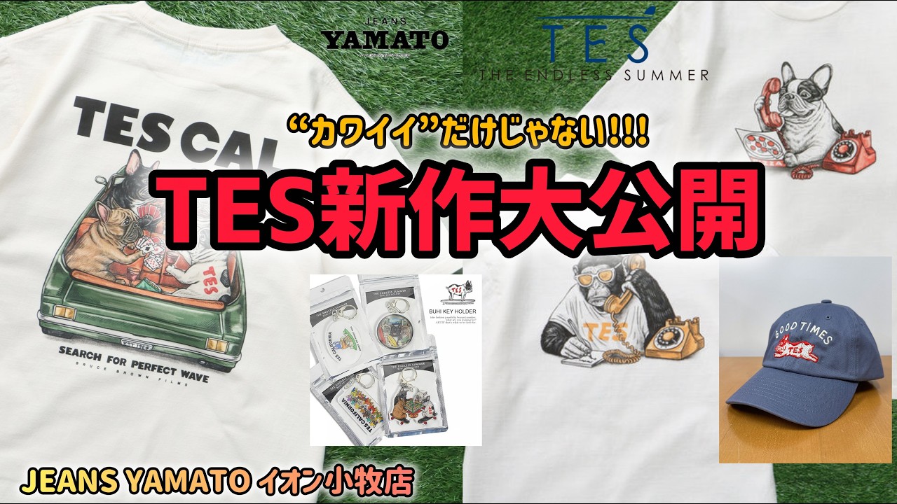小牧市 【TES】 テス TheEndlessSummer MadeInJapan Tシャツ プリントT