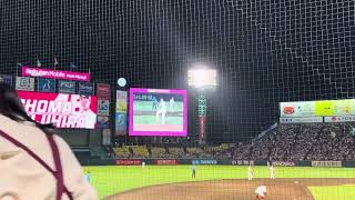 防御率0点代！#46藤平尚真　登場曲　Let's Go JAXSON GAMBLE