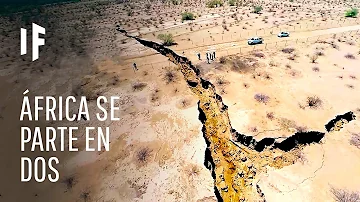Quem participou da partilha da África e de que forma?