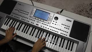 KORG PA80 Değmen benim gamlı yaslı gönlüme Resimi