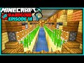 Fully AUTOMATIC AFK Sugarcane Farm | Let's Play Hardcore Minecraft Episode 18