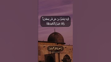 سورة آل عمران الآية ١١٥ و ١١٦ بصوت الشيخ محمد صديق المنشاوي
