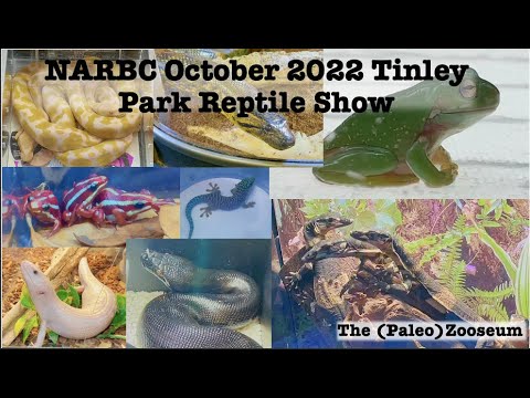 NARBC October 2022 Tinley Park Reptile Show - YouTube