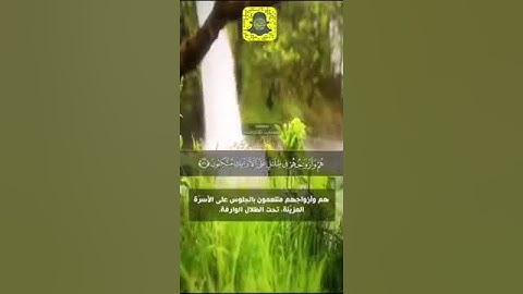 حالات واتس اب قران كريم😴❣القارئ يوسف ابكر💙حالات واتس اب دينية❣تلاوة مؤثرة