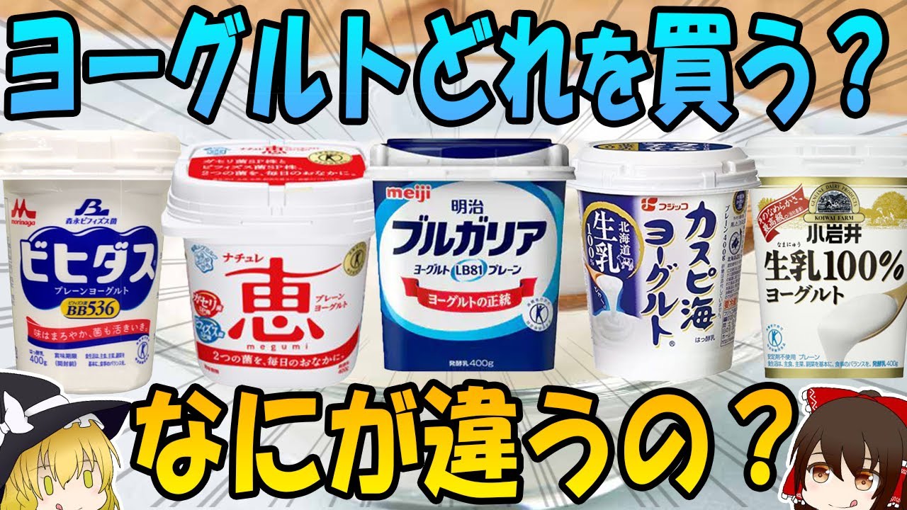 無糖ヨーグルトはどれを買う？メーカーごとの違いや選び方を解説