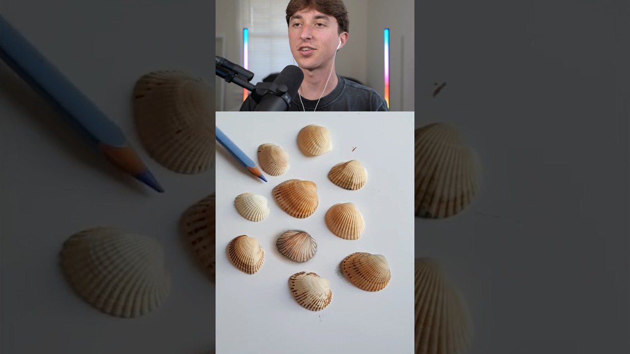 Spot The Drawing Challenge 32 🤯😱