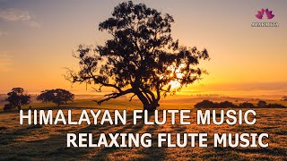 Himalayan Flute Music | Flute Music | Relaxing Music | (बाँसुरी) Aparmita Ep. 133