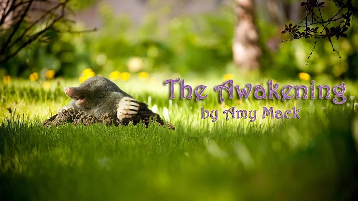 The Awakening by Amy Mack